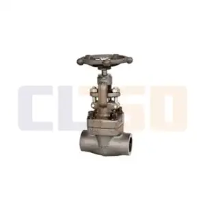 شیر سوزنی (سوپاپی) استیل کلاس 800